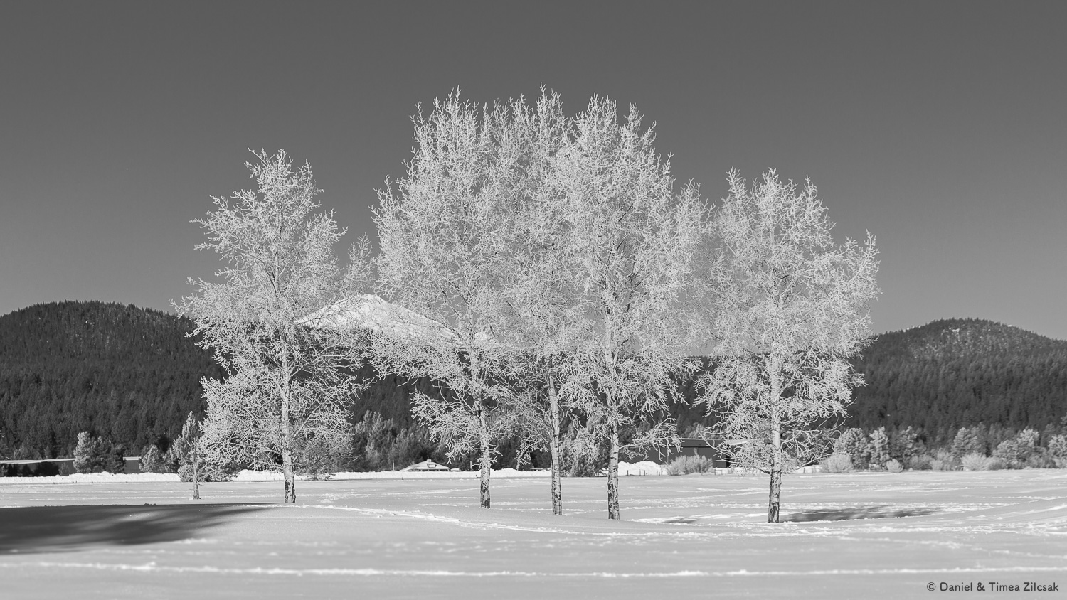 Winter Landscapes - The Zilcsaks